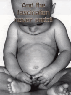 th_0039.gif?t=1281655909