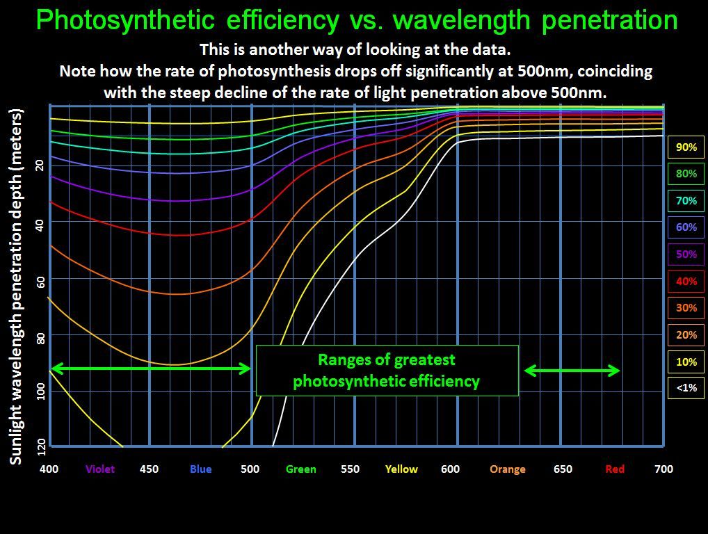 PhotoPenetration_zpsbff1a372.jpg