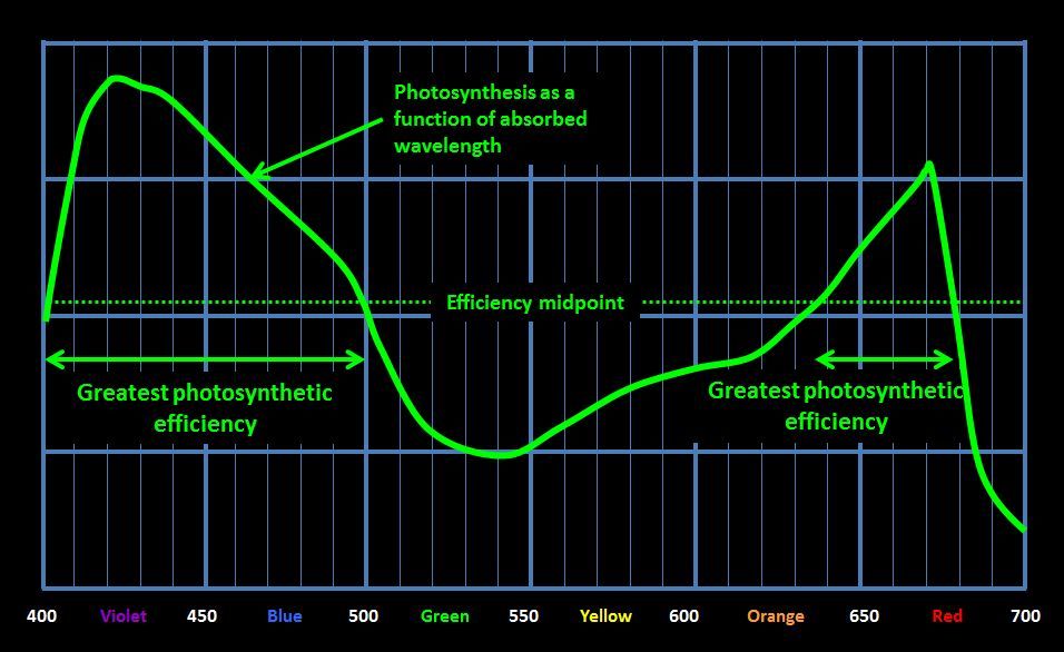 PhotoWavelength_zps40addd13.jpg