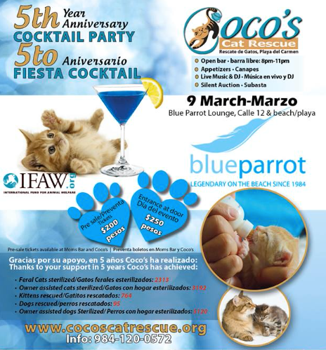 Coco's Cat Rescue Fundraiser