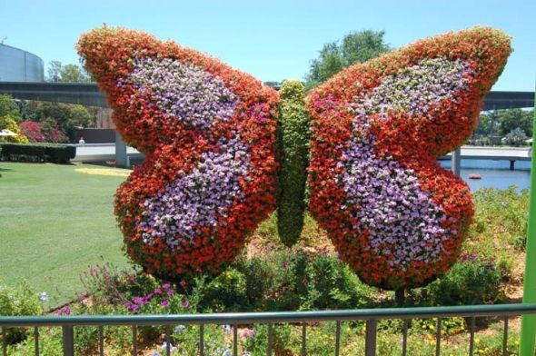 tạo hình cây cảnh topiary