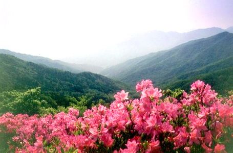 [Resim: tourist_00001898_img2_zps3cxsgaij.jpg]