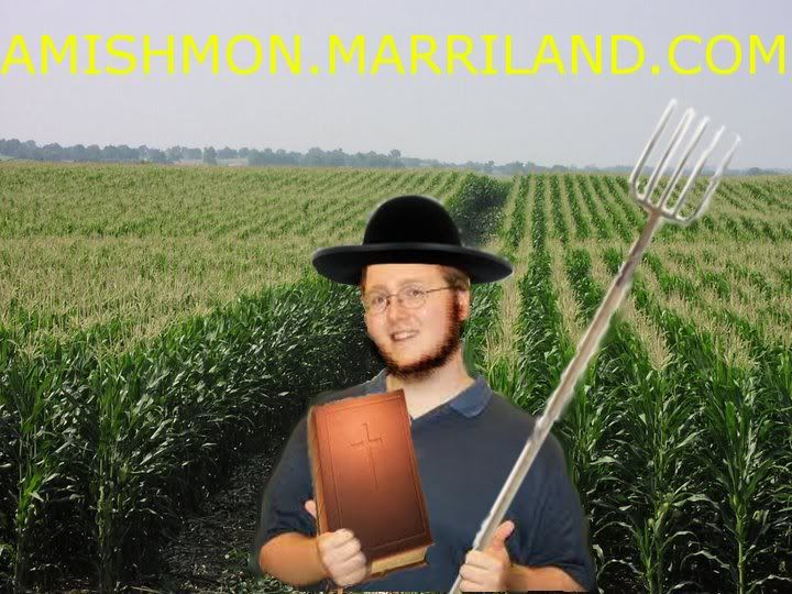 amishmonmarrilanddotcom.jpg