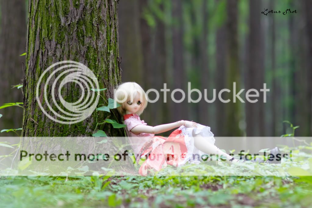 8和适马85/1.4的朋友说说